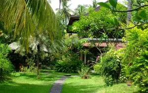 Bali Sandat Guesthouse