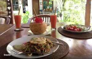 lunch